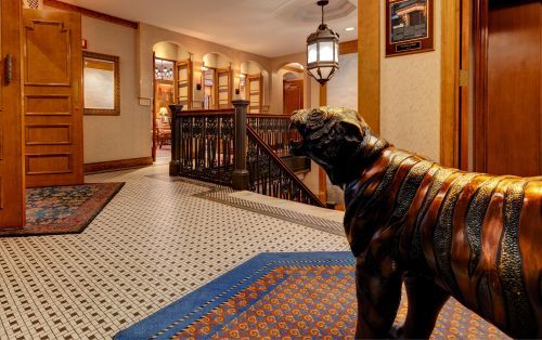 Second Floor at Casablanca Hotel starring our mascot, Bogey the Tiger